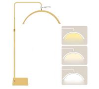 HGYNBCP Lampadaire en Arc Demi-Lune avec télécommande, LED à intensité Variable, Hauteur réglable(Gold)