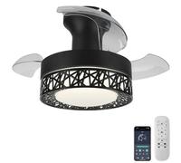 HGYNBCP Ventilateur de Plafond à Lame rétractable avec télécommande et contrôle APP, 6 Vitesses(Full Black)