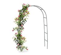 Hi Arche de Jardin pour Plantes Grimpantes et Rosiers â€“ 140x240x37cm â€“ Porte de Jardin - Arceau à Roses Metal â€“ pour Un Ã‰lément de Conte de Fées dans Le Jardin