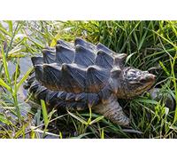 Hi-Line Gift Ltd. Statue de Tortue Serpentine