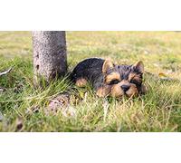 Hi- Line Gift RUNADI 87710-M Statue de Chien Yorkshire Terrier endormi Noir