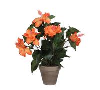 Hibiscus Artificielle Orange En Pot H40