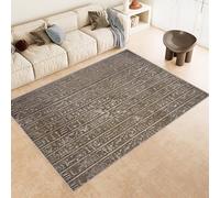Hiéroglyphes égyptiens Tapis Couloir Interieur 80x150cm Égypte Antique Lavable Antidérapant, Poils Ras Doux Tapis Décoration Moderne pour Chambre Salon Coucher ,Cuisine, salle à manger 2H2390