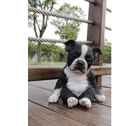 HiLine Gift Ltd. Statue de Boston Terrier Assis endormi