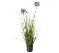 Hill Interiors - Pot de fleurs (HI4924)