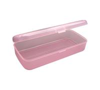 hindraem Boîte de rangement transparente pour outils de nail art : perles, bandes de polissage, pinceaux, stylos, organiseur compact pour outils personnels, Rose, L