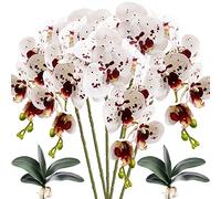 HinyoCo 5 pièces de Fleurs d'orchidées 8 têtes Phalaenopsis Artificielles avec 2 Pièces Feuille de Fleurs d'orchidées Papillon pour la décoration de la Maison (Blanc avec des Taches)