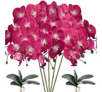 HinyoCo 5 pièces de Fleurs d'orchidées 8 têtes Phalaenopsis Artificielles avec 2 Pièces Feuille de Fleurs d'orchidées Papillon pour la décoration de la Maison (Rose Taches Rouges)