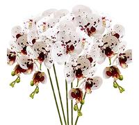 HinyoCo 5 pièces Fleurs D'orchidées Artificielles Blanches avec des Taches Fleurs Artificielles de Phalaenopsis 70 cm pour la décoration de la Maison