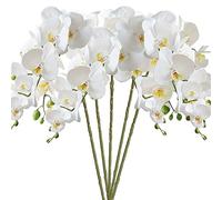 HinyoCo 5 pièces Fleurs d'orchidées Phalaenopsis Artificielles 8 têtes de Fleurs d'orchidées Papillon pour la décoration de la Maison (Blanc)