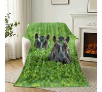 Hippopotame Plantes Imprimée Flanelle Couverture 150 x 200 cm, Nature Animal Confortable Réversible Plaid Polaire pour Toutes Les Saisons, Vert Gris Ultra Douce et Légère Salon Couverture