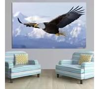 HIPWST Simple Wall Art Animal Eagle Roc Spreading Wings HD Canvas Print Poster Home Living Room Bedroom Decorative Painting(80x120cm/InternalFrame)