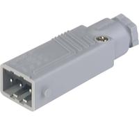 Hirschmann 932 143-106-1 Connecteur d'alimentation STAS mâle, droit Nombre total de pôles: 3 + PE 16 A gris 1 pc(s)