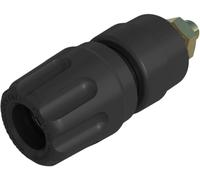Hirschmann Test & Measurement PKI 10 A Au Borne de polarité noir 35 A 1 pc(s)