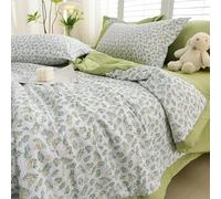 Hiseng Couette 1 Personne en Microfibre, Couette Imprimée Botanique Reversible pour 4 Saisons, Tempérée Duvet sans Housse 2 Personnes pour Adulte Enfant (Feuille Verte,150x200cm)