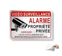 Hivia Plaque Vidéosurveillance 22x15 cm - Autocollant Vidéo Surveillance + Trous Pré-percés - Panneau "Alarme Propriété Privée 24h/24" - Aluminium Brossé - Extérieur Résistant - 1 Pièce