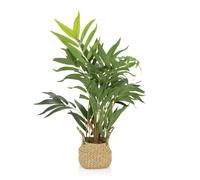 CHAMAEDOREA - Plante artificielle Vert