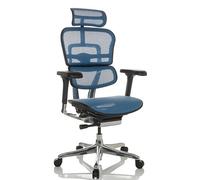 ERGOHUMAN GEN2 | tissu maille - Siège de direction de luxe Bleu