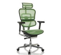 ERGOHUMAN GEN2 | tissu maille - Siège de direction de luxe Vert