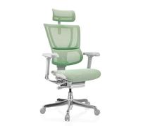 ERGOHUMAN SLIM G GEN2 | tissu maille - Siège de direction de luxe Vert