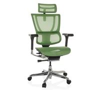 ERGOHUMAN SLIM GEN2 | tissu maille - Siège de direction de luxe Vert