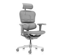 ERGOHUMAN ULTRA G GEN2 | tissu maille - Siège de direction de luxe Gris
