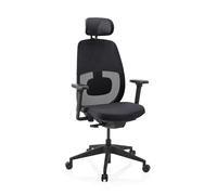Skandis Pro | avec appui-tête | Structure : Noir - Siège de bureau de qualité professionnelle Noir / Noir