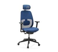 Skandis Pro | avec appui-tête | Structure : Noir - Siège de bureau de qualité professionnelle Bleu / Noir