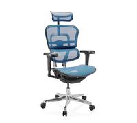 ERGOHUMAN ULTRA GEN2 | tissu maille - Siège de direction de luxe Bleu