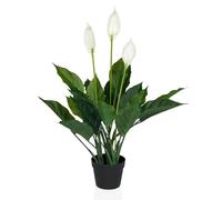 SPATHIPHYLLUM - Plante artificielle Vert/Blanc