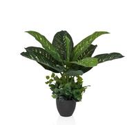 DIEFFENBACHIA - Plante artificielle Vert