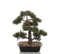 BONSAI - Plante artificielle Vert