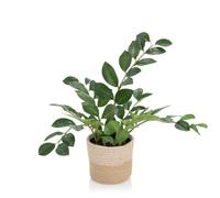 ZAMIE - Plante artificielle Vert