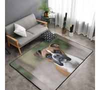 Hnnkloy Chien Boxer, Tapis de Sol antidérapant de Grande Taille pour Salon et Chambre, 150 x 100 cm.