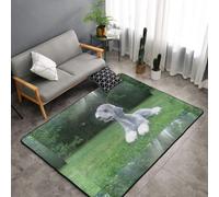 Hnnkloy Terrier de Bedlington, Chiens drôles, Chiens à Fourrure, Animaux de Compagnie, Tapis de Sol antidérapant de Grande Taille pour Salon et Chambre, 150 x 100 cm.