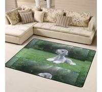 Hnnkloy Terrier de Bedlington, Chiens drôles, Chiens à Fourrure, Animaux de Compagnie, Tapis de Sol antidérapant de Grande Taille pour Salon et Chambre, 160 x 120 cm.