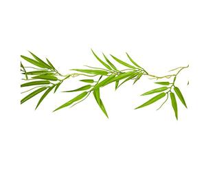 HOBI Guirlande Feuilles Bambou ARTIFICIELLES 1.2M Vert