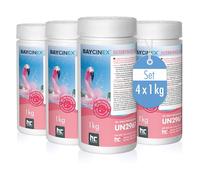 Höfer Chemie 4 x 1 kg Nettoyant Granulé pour Filtre de Piscine