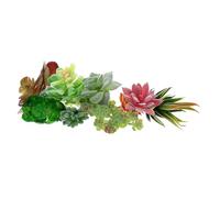 Hoement Plante Grasse Artificielle DIY 13 Pièces en PVC Décor