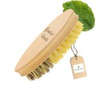 HOFMEISTER® Brosse à légumes en Bois, 13,5 cm, Poils naturels de Haute qualité, 2 degrés de dureté, pour Pommes de Terre, Carottes, légumes, Made in EU