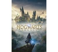 Hogwarts Legacy Posters Hogwarts Wizarding World Universe 61 X 91 Cm