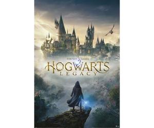 Hogwarts Legacy Posters Hogwarts Wizarding World Universe 61 X 91 Cm