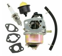 HOHOVYVY Kit de carburateur avec joint, tuyau d'essence, bougie pour tondeuse à gazon Einhell GC-PM 46/1 S et GC-PM 51/2 S et HW HBM 46 R
