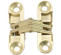 HOHOVYVY pour charnière invisible en acier inoxydable pour portes en bois et comptoirs, charnière rabattable dissimulée en argent ou or, charge jusqu'à 30 kg, dimensions 13 x 45 mm à 19 x 95 mm (doré