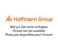 HOLEX HOLEX Comparateur de rechange pour dispositif de mise à zéro de précision 359091, Plage de mesure / ⌀ boîtier : 3/40 mm Quantité:1