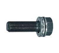 HOLEX HOLEX Vis de remplacement pour palier à bille filet Ø 16 mm L 55 mm Quantité:1