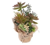 Holibanna Plante Succulente Artificielle en Pot Rouge Mini Bonsaï Décoratif pour Intérieur Ornement de Plante Grasse Réaliste Décoration de Jardin et Bureau Facile D’Entretien