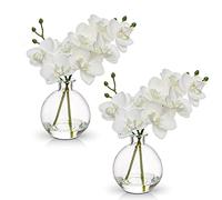 Hollyone 2PCS orchidées artificielles Blanches dans Un Vase, Petite orchidée Artificielle avec Vase en Verre, Faux phalaenopsis décoratif pour Mariage, Centre de Table, décoration d'intérieur