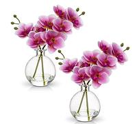 Hollyone 2PCS orchidées artificielles Roses dans Un Vase, Petite orchidée Artificielle avec Vase en Verre, Faux phalaenopsis décoratif pour Mariage, Centre de Table, décoration d'intérieur