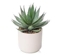 Hollyone Fausses plantes succulentes dans un pot en céramique blanche - 21,8 cm - Agave artificiel givré Shaka Zulu - Plantes artificielles décoratives d'intérieur pour décoration d'intérieur, bureau